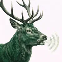Animal Sound Identifier - Rawz