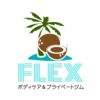 FLEX icon