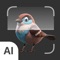 The application helps to classify more than 270 species of birds