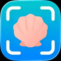 Oyster ◦ Sea Shell Identifier