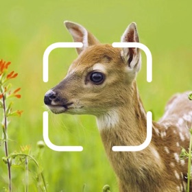 螢幕擷取畫面 (4) TrailCam Go