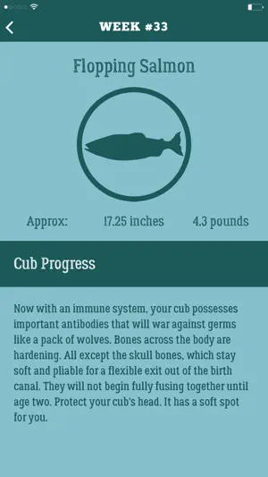 Dad Pregnancy Guide: Daddy Up screenshot 4