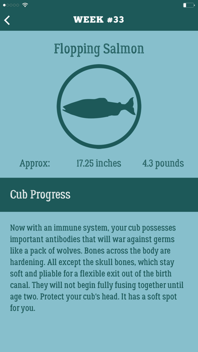 Dad Pregnancy Guide: Daddy Up Screenshot