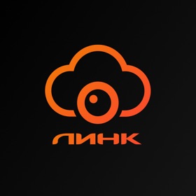 Линк Камеры