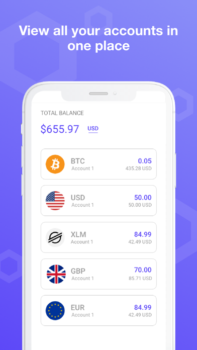 Screenshot #1 pour Rehive Pay