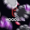 Woodbine Explore: Stay & Dine icon