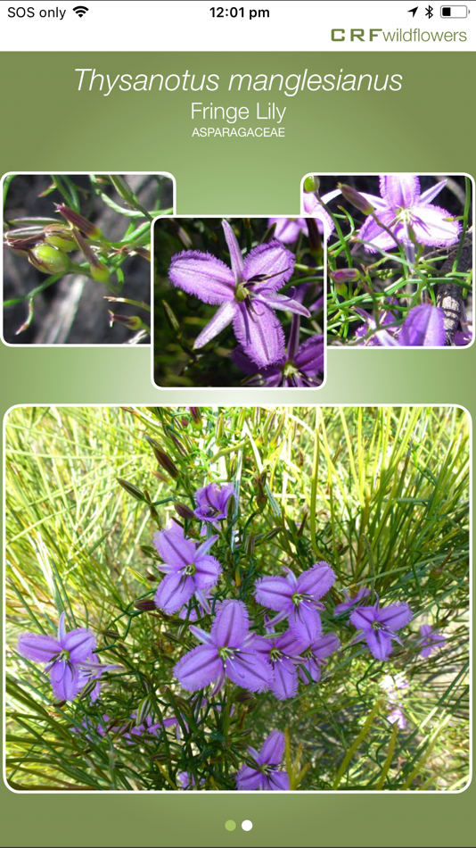 #5. CRFwildflowers (iOS) 由: Northern Agricultural Catchments Council Inc.