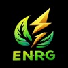 ENRG.fit icon