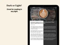 Feedibus — RSS Feed Reader iPad image 4
