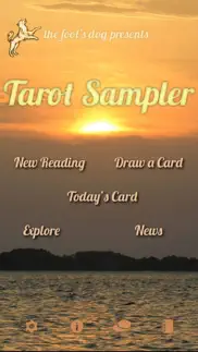 fool’s dog tarot & divination айфон картинки 1