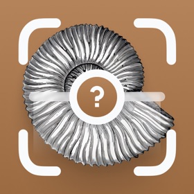 Fossil Identifier: Remnant AI