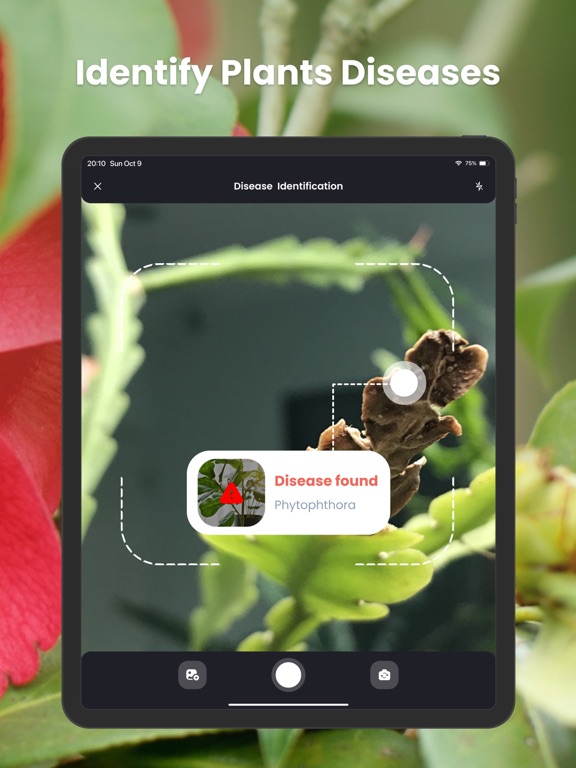 Screenshot #6 pour PlantIn・plantes reconnaissance