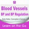 Blood Pressure Exam Review : 1600 Quiz & Study Notes