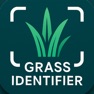 Get Grass Identifier: AI Scan for iOS, iPhone, iPad Aso Report