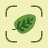Leaf Identification - iPhoneアプリ