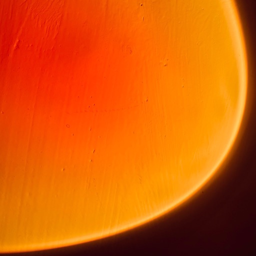 Lifelight - AI Journal & Note - AppWisp.com