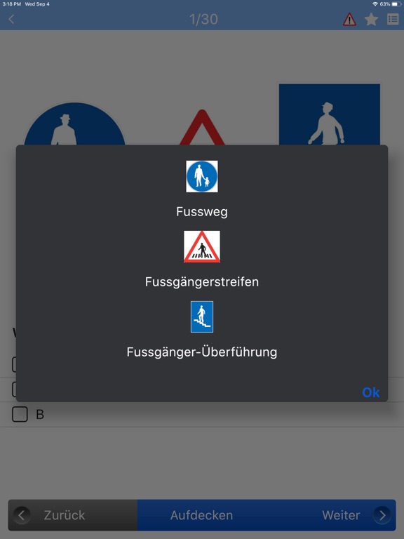 Auto Theorie Fahrlehrer24 App Store preview screenshot 11