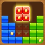 Download Perfect Block Puzzle app