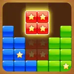 Perfect Block Puzzle App Positive Reviews