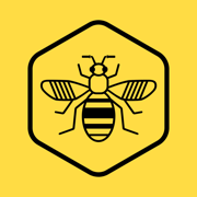 Bee Network