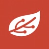 Phytech Field icon