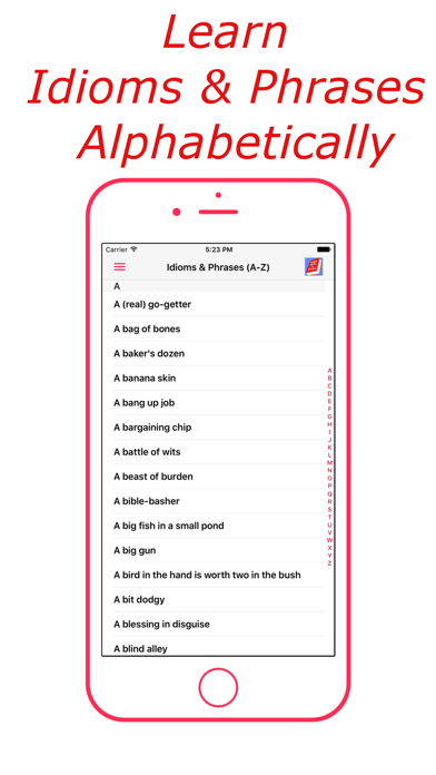 Idioms & Phrases (English) iPhone screenshot 4 - Education app