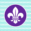 ScoutPass - Learning Economy
