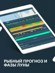 windy: погода, ветер и волны айпад изображения 4