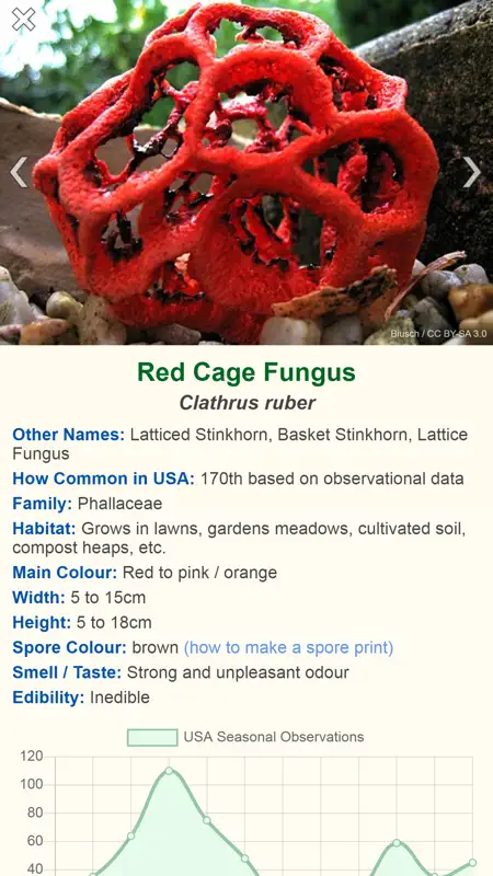 Shroomify - Mushroom ID screenshot 3 of 7