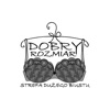 DOBRY-ROZMIAR.pl icon