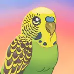 Bird Kind