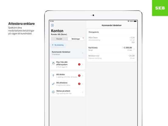 SEB Företag iPad screenshot 4