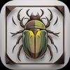 AI Insect & Bug Identifier App icon