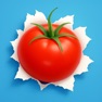 Get TOmaTO for iOS, iPhone, iPad Aso Report