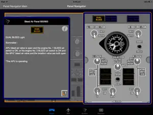 iB737NG screenshot 2