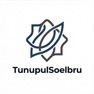 Get TunupulSoelbru for iOS, iPhone, iPad Aso Report