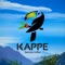 With this app, Kappe wants to inform the user about the coffee culture surrounding our brand,  local social projects and interact with amazing all-natural products and learn about the most popular recipes at the moment