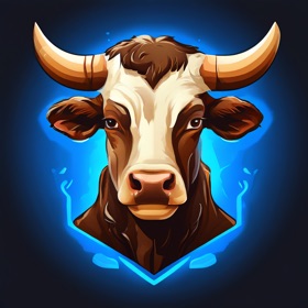 Bulls and Cows Game