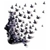 Fear Therapy icon
