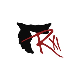 螢幕擷取畫面 (5) Union R-XI