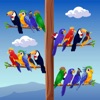 Birds Sort Puzzle Game icon