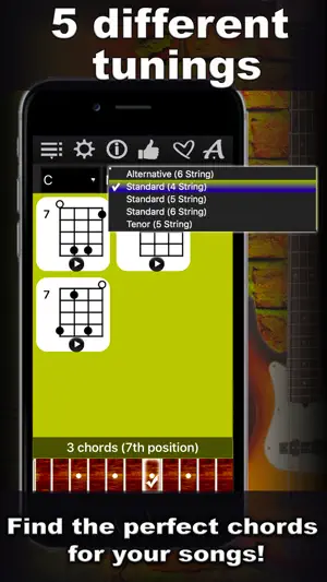 Bass Chords Compass screenshot 2
