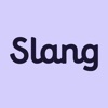 Slang: Professional English icon