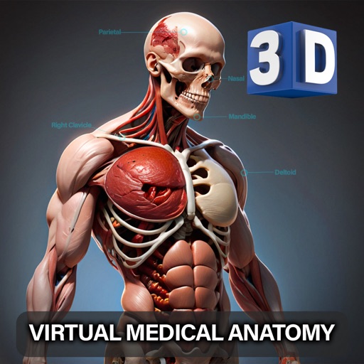 Virtual Medical Anatomy