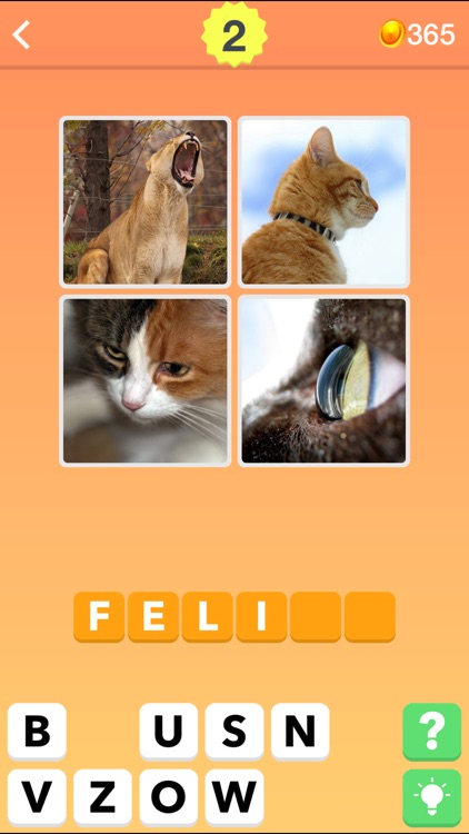 4 Fotos: ¿Cuál es la Palabra?