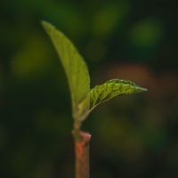 Make Photos Clear - Colorize app icon - Photo & Video app for iPhone