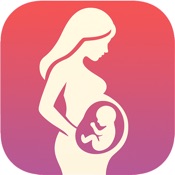 DueDate:Pregnancy week by week