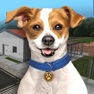 Get Animal Shelter Simulator for iOS, iPhone, iPad Aso Report
