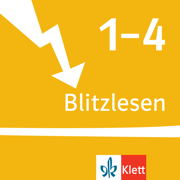 Blitzlesen
