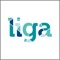 A Liga Online é a primeira plataforma de aprendizado online que utiliza projetos reais de empresas em um conceito inédito de comunidade de aprendizagem